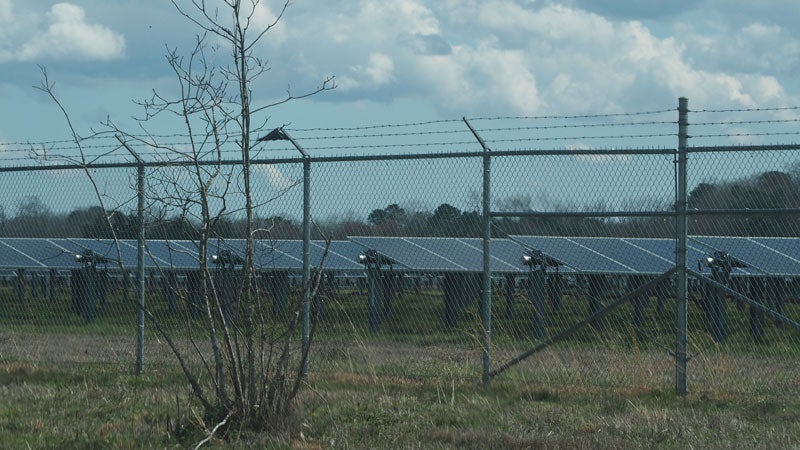 woodland solar farm