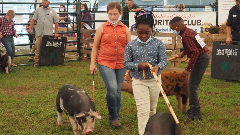 isle of wight county fair 4-h